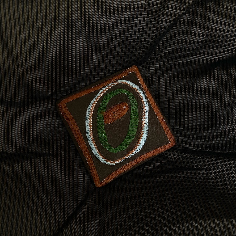 NWT Pier 1 Imports Decorative Throw Pillow - Picture 6 of 6